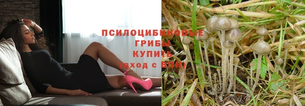 стафф Алексин