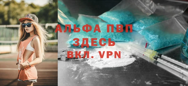 стафф Алексин