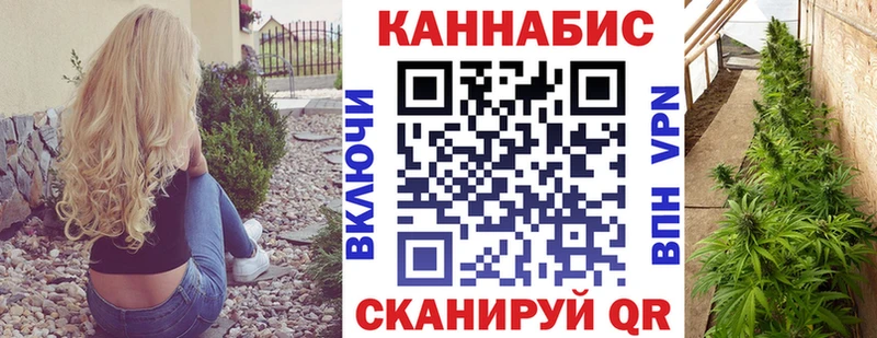 МЕГА маркетплейс  Каргат  Марихуана Amnesia 